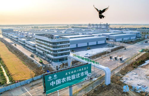 產(chǎn)業(yè)旺、村和美、同致富 宿遷集成推進鄉(xiāng)村全面振興的建筑工程實踐